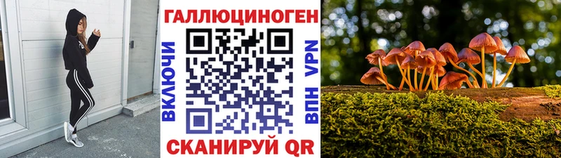 Галлюциногенные грибы мухоморы  Купить закладки  Йошкар-Ола 